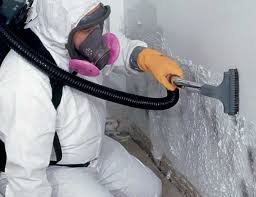 Best Environmental Consulting for Mold Prevention  in Warren, MN